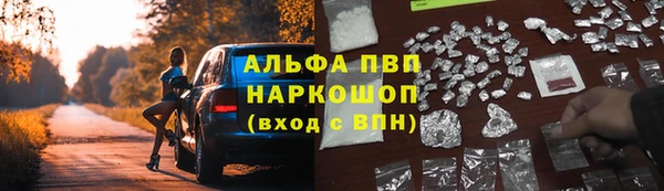 мяу мяу мука Аркадак